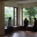 Allen's Garden ~ Holistic Academy